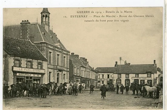 51 ESTERNAY ++ Guerre de 1914 - Place du Marché - Revue des Chevaux blessés r ++