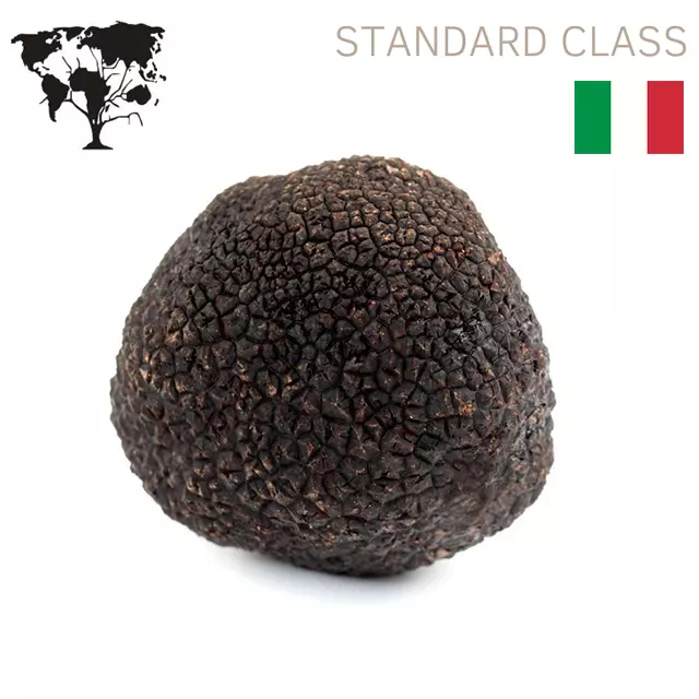 Precious FRESH WINTER black truffles 100g. 3,5 oz. - Tuber Melanosporum