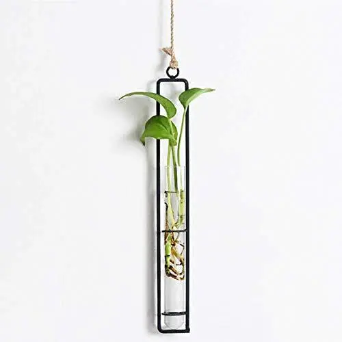 Hanging Glass Planter Water Iron Art Hydroponic Vase Transparent Test Large