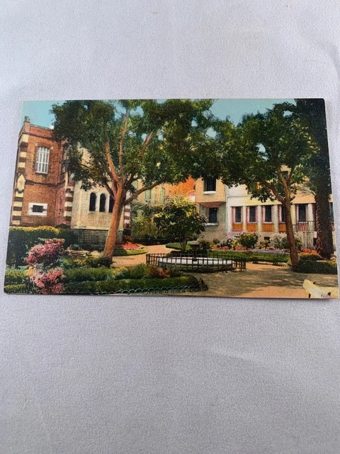 Vintage Oran Algeria Postcard Carte Postale CPA L Eviche Et Vue Le Square