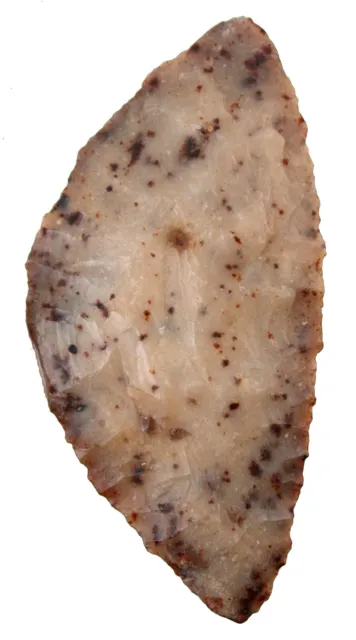Neolithikum  Herrlicher Blattschaber / Blattspitze  Tenere  Niger  3288