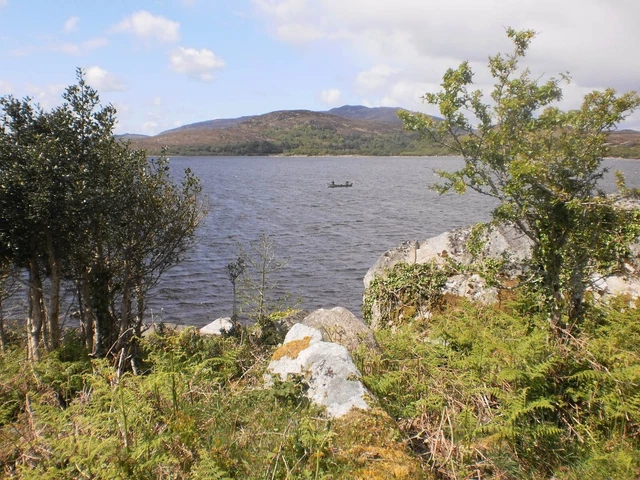 Plot of land for sale in Southern Ireland. Plot of land for sale in Southern Ireland.