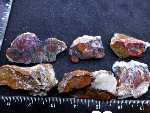 ORCA: Rare Wingate Pass or Death Valley Plume Agate Odds and Ends, California