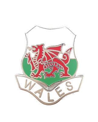 Wales Welsh Cymru Dragon Shield St Davids Day Enamel Lapel Pin Badge T291