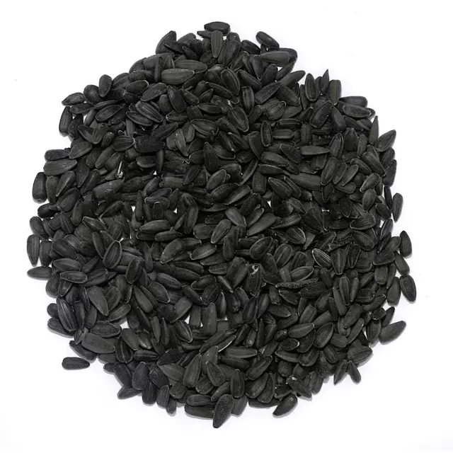 20kg de graines de tournesol noires pour oiseaux, nourriture pour oiseaux toute 2