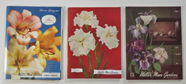 Boring Oregon Vegetables Flowers Grass 1950's Lot x 3 pictorial seed catalogs