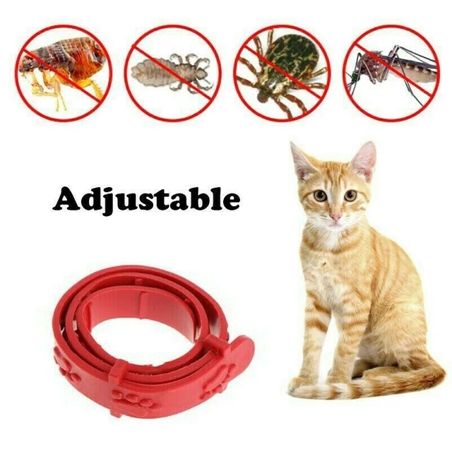 Gatto Anti Acari Tick Collare N.Antipulci Gattino Rimedio Collo Cinturino