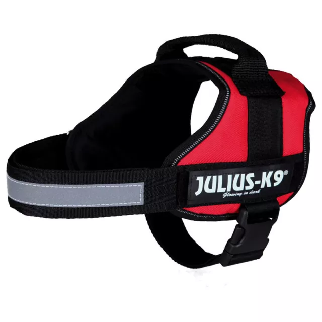 Julius-K9 Chiens Plats Electriques Rouge, Différentes Tailles, Neuf