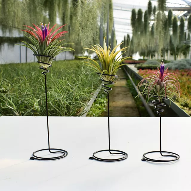 3Pcs Metal Air Pineapple Stand Base Plant Flower Rack Holder Home Balcony Deco~F