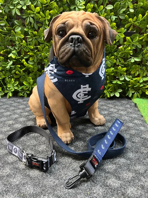Afl dog best sale collars