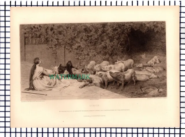X1540) Circe Briton Riviere James Dobie - 1891 Print  / Etching