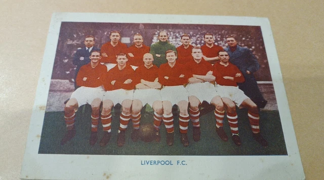 Serie Adesivi Agesci - Cooperativa L'Orso - Foto 6