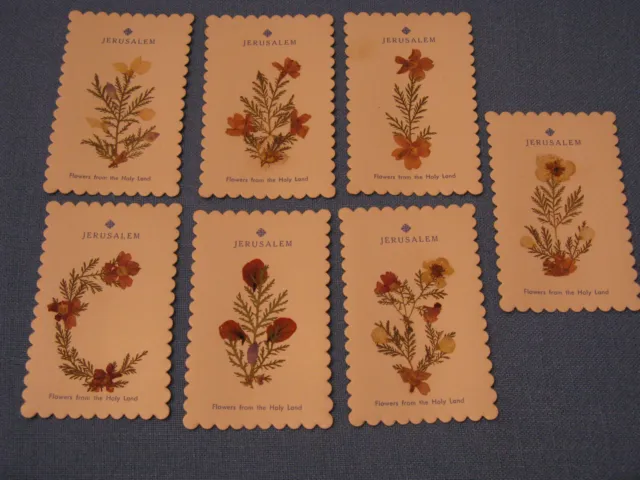 Israel. 7 Jerusalem Cards With Flowers From The Holy Land 4 1/4" X 2 3/4"