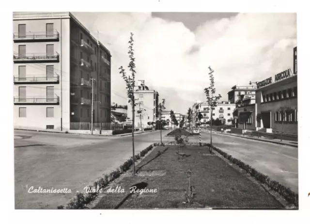 Sicilia Caltanissetta Viale Della Regione Cartolina Non Viaggiata Fg