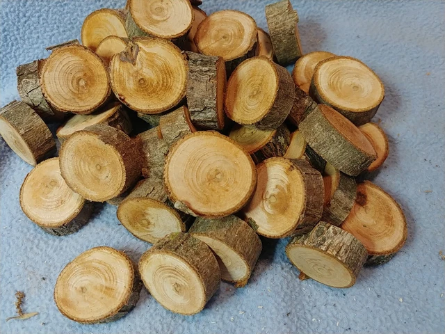 (40) Rebanadas de galletas de madera de pacana de 1-1/8"" a 1-3/8"" × 12 mm de espesor borde vivo...
