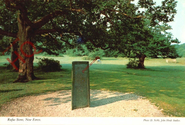 Picture Postcard; New Forest, Rufus Stone (Writing on Reverse) [John Hinde]