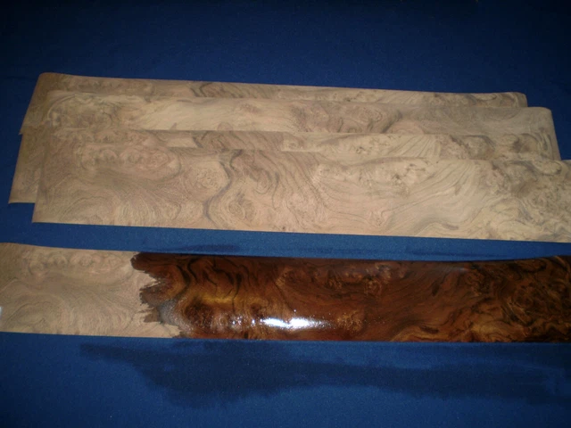 Nogal saramp chapa de fieltro recubierto 720 x 115 mm 5 hoja no 920