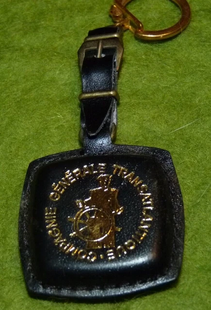 Porte-clés Souvenir Pour Poils D'animal - Forme Patte De Chat, En Cuir, Rangement Affectif