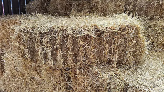 Barley Straw Full Bale, feed or bedding, weed & chemical free, Compact bale