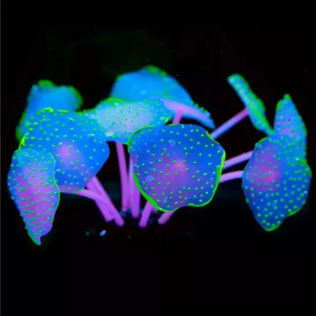 Silicone Glowing Artificial Fish Tank Aquarium Coral Plants Underwater Ornament<