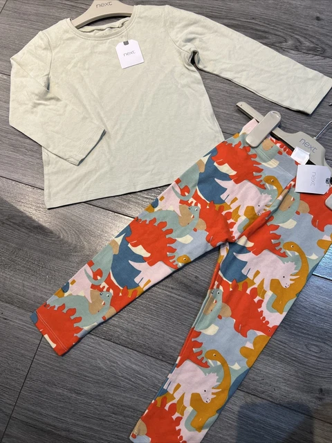 Next girls age 2-3 leggings and top outfit bundle BNWT
