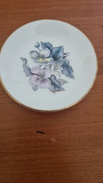 Royal Worcester Fine Bone China. Blue Plate. Made in England