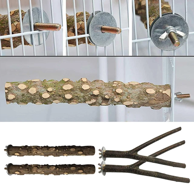 4er   Hängender Papagei Vogelständer Baum Zweig Spielzeug Barsch