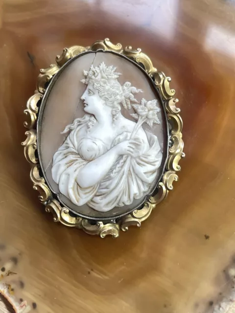 Antique Victorian Carved Shell Cameo Brooch Large Size 1850S