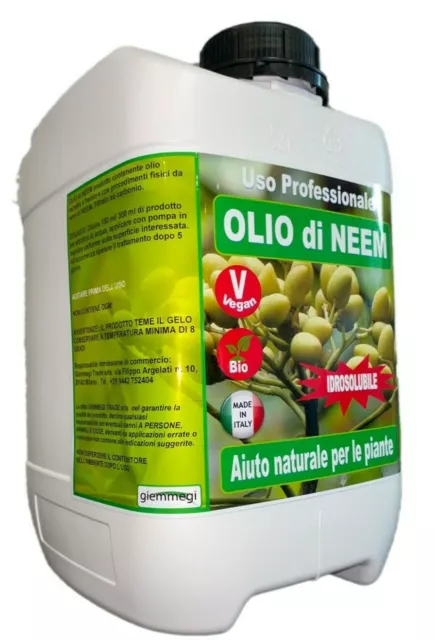 Olio di Neem - insetticida naturale biologico solubile in acqua - 5 litri