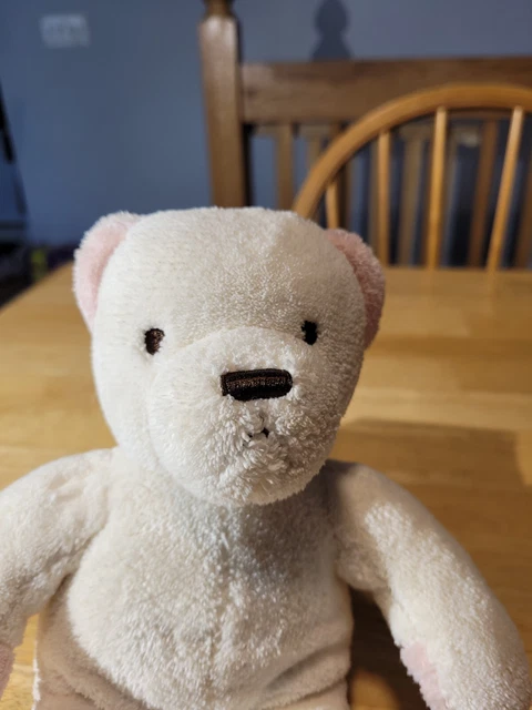 Brookstone nap teddy bear discount