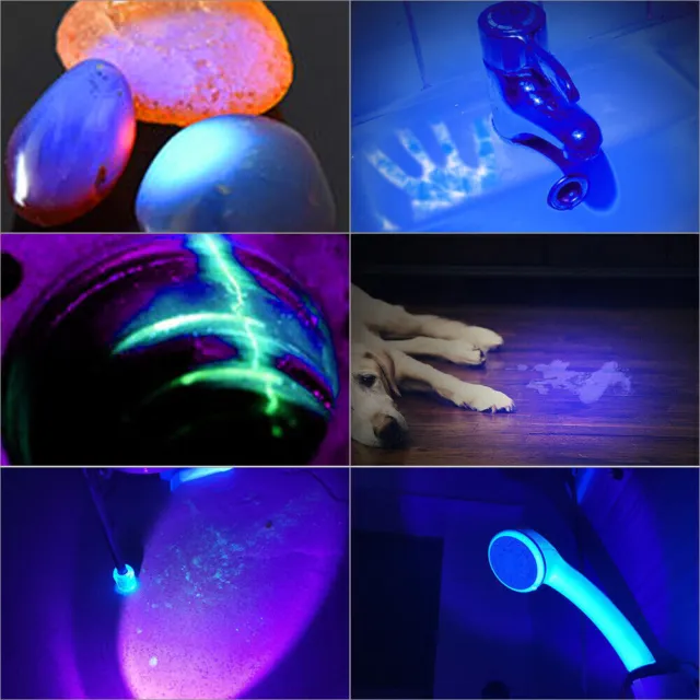 USB Rechargeable 395 LED UV Torch Flashlight Light Ultra Violet Blacklight Zoom 3