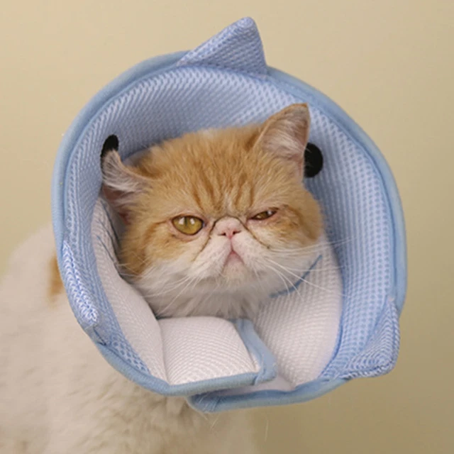Adorabile Collare Recupero Animale Antimorso Ferita Animale Guarigione Ferita Animale Morbido