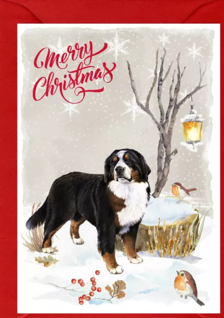 Bernese Mountain Dog A6 (4"x6") Christmas Card - Blank inside - by Starprint