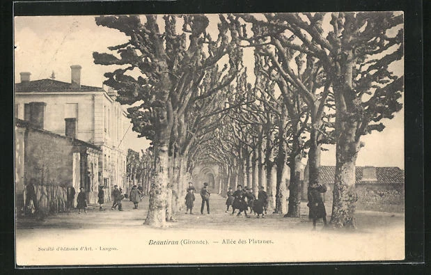 CPA Beautiran, Allée de Platanes 1904