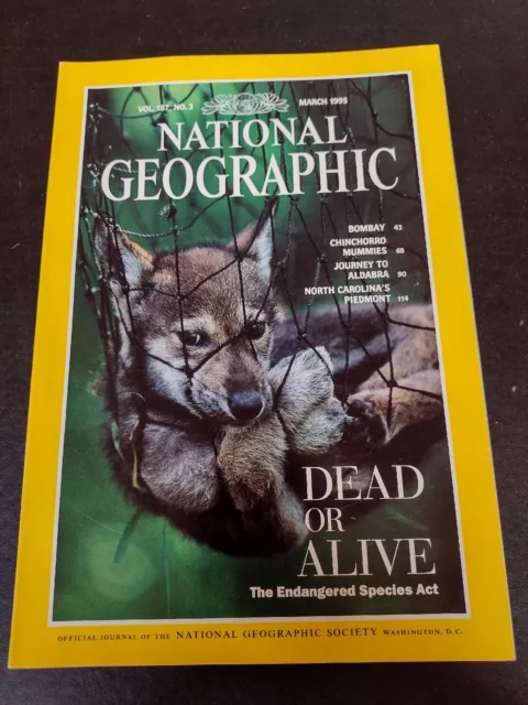 National Geographic March 1995 Endangered species/Bombay/Mummies