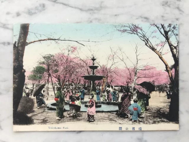 Old Card Yokohama Park Old Postcard