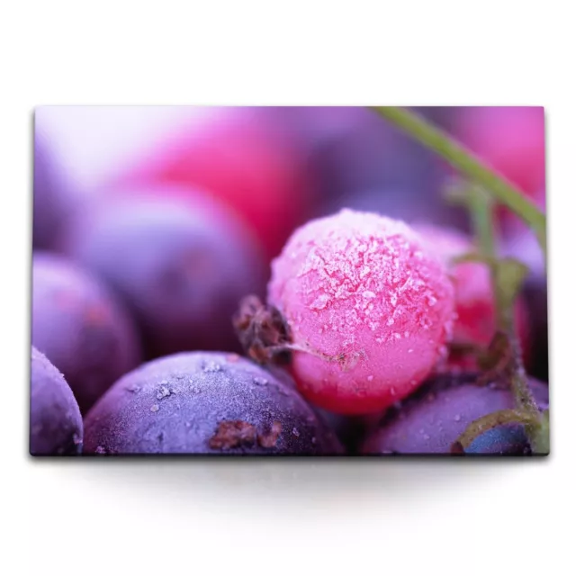 120x80cm Wandbild auf Leinwand Nahaufnahme Blaubeeren Beeren Rosa Fotokunst