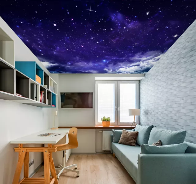 3D Starry Sky G4238 Ceiling WallPaper Murals Wall Print Decal Deco Erin 2023