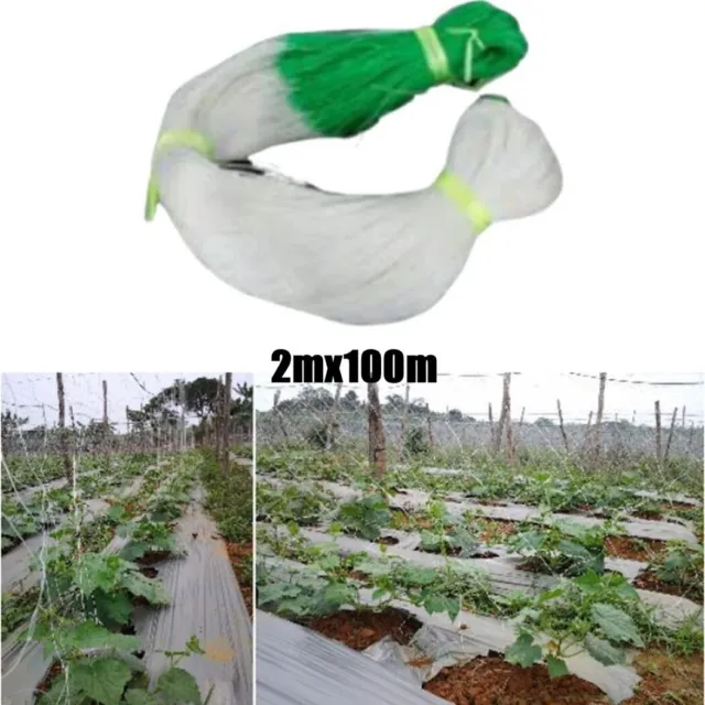 Brandneu Gurke Maschennetz Ersatzteile Gemüse Gurkennetz Klettern Netz