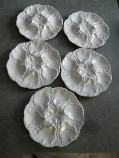 5 ASSIETTES A COQUILLAGES - HUITRES EN CERAMIQUE BLANCHE BARBOTINE - Diam: 24 cm