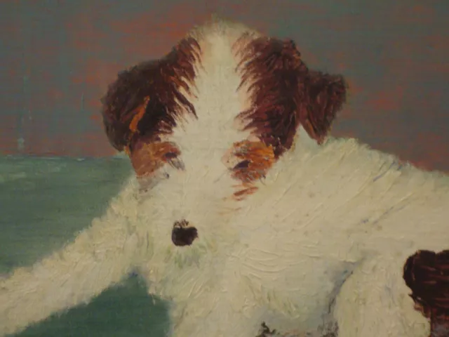 Quadro cucciolo cane cagnolino bianco olio su tela 30x40cm Giovanni Cinelli