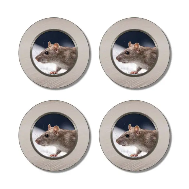 Rat Round Rubber Coaster Set rats