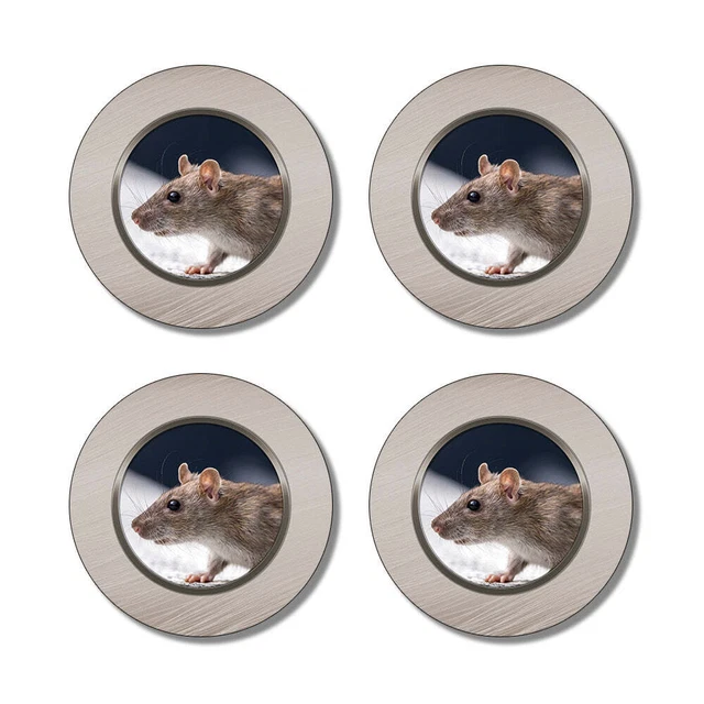 Rat Round Rubber Coaster Set rats