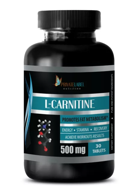 fat burn preworkout - L-CARNITINE 500MG - brain naturals 1 BOTTLE
