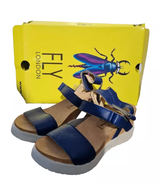Fly london wink discount