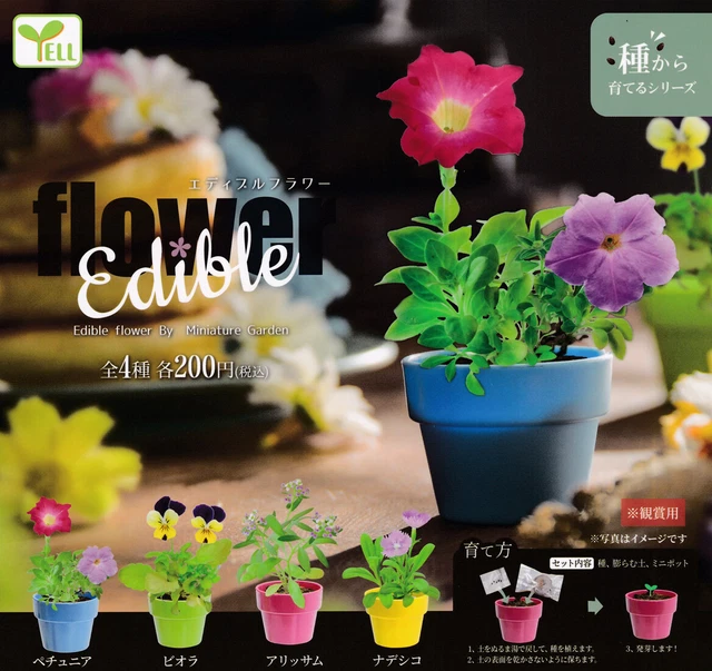 EDIBLE FLOWER ALL 4 Types Set Gacha Complete Capsule Toy Japan 614y £16
