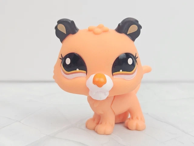 Littlest Pet Shop Hasbro Chats 3585 3586 – Originaux Neufs