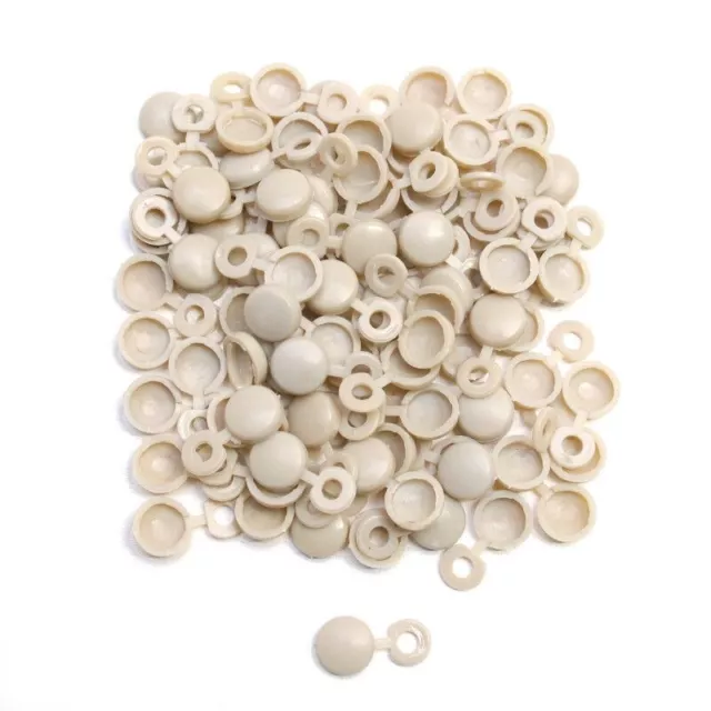 Lot De 100 Cache Rivet Plaque Immatriculation Blanc Top'plaq