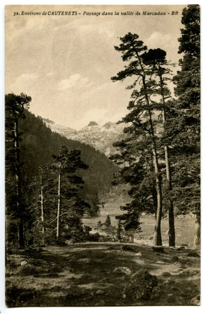 CPA 65 Hautes-Pyrénées Environs de Cauterets Paysage dans la Vallée de Marcadau