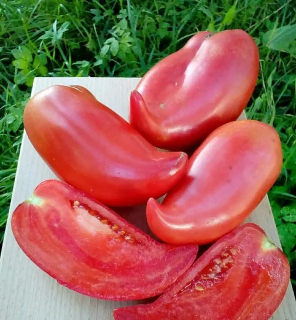 Tomato seeds,Korean long-fruited tomato,organic seeds, 0,1 g-#115